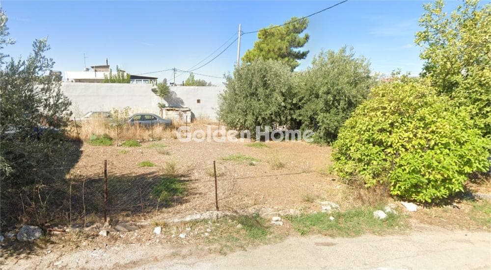 Αγροτεμάχιο στην Κέντρο, Μεταμόρφωση — Φωτογραφία 1 από 2