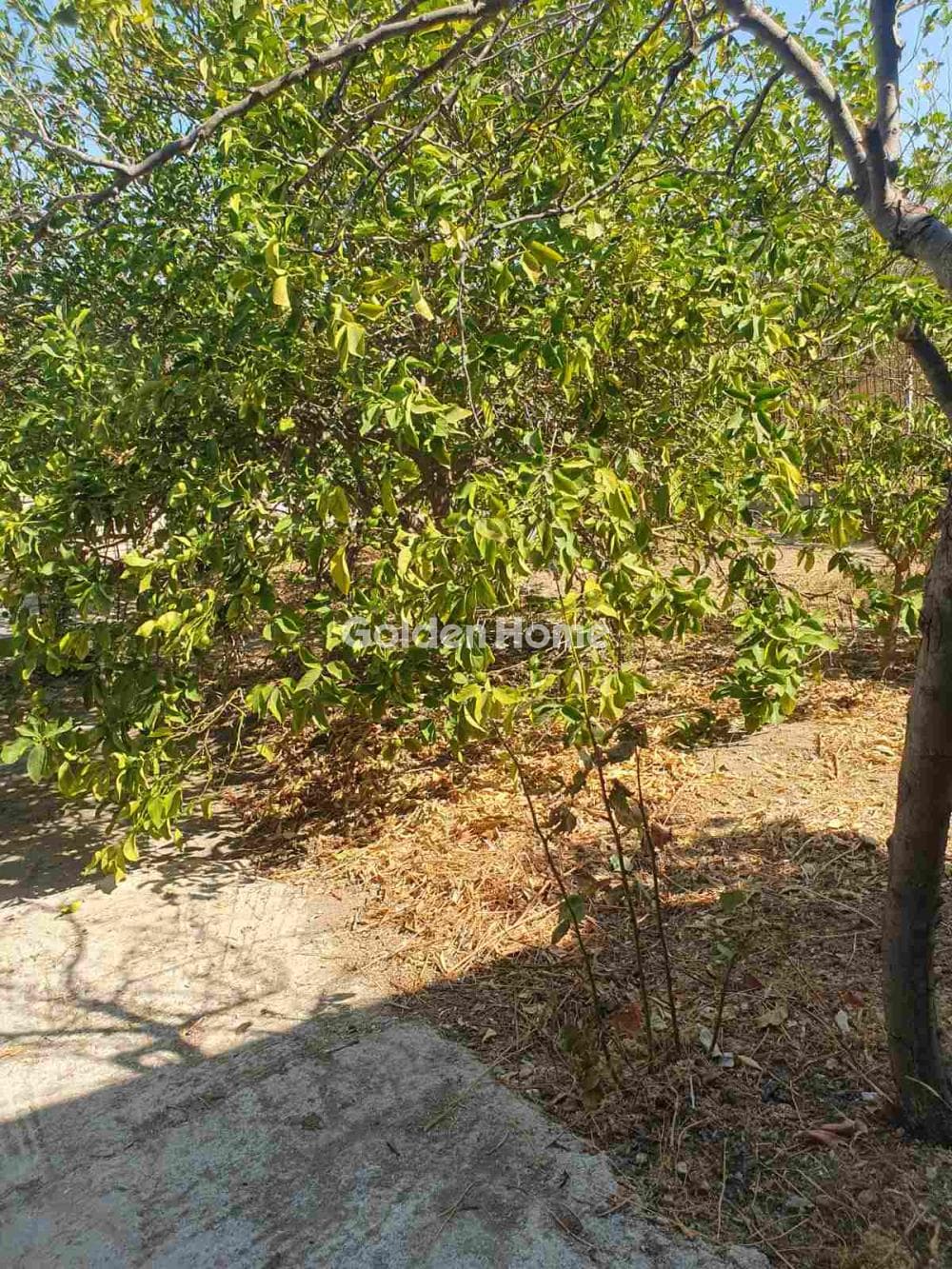 Διαμέρισμα στην Πόρτο Ράφτη, Βραυρώνα — Φωτογραφία 7 από 8