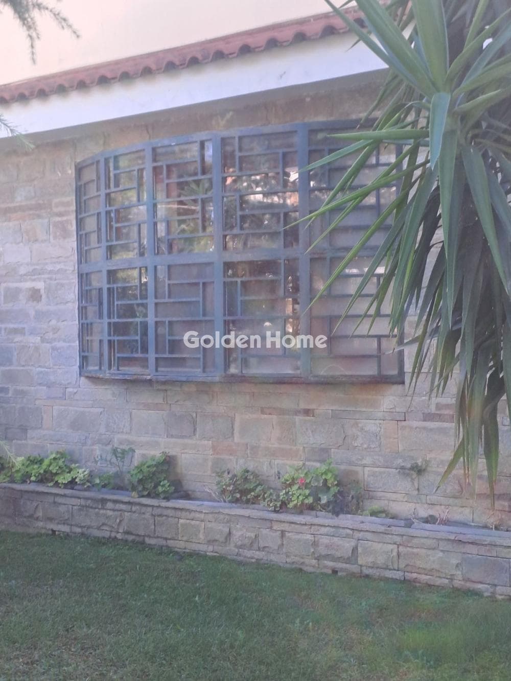 House in Megala Sxoinia A, Acharnes — Photo 63 of 75