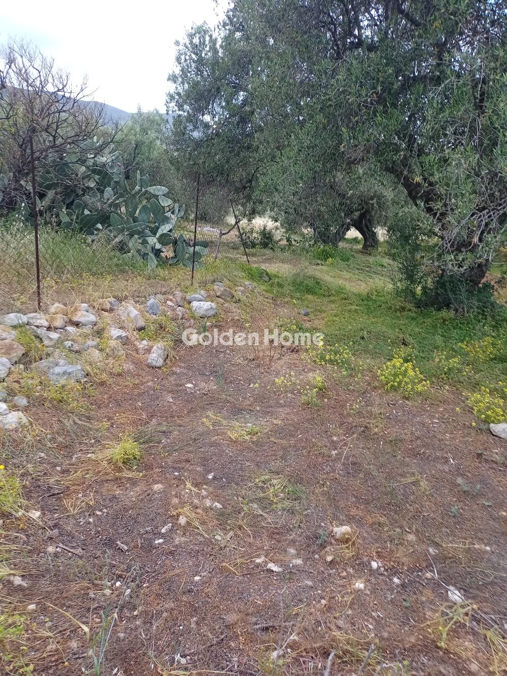 Parcel in Kappariana, Moires — Photo 1 of 3