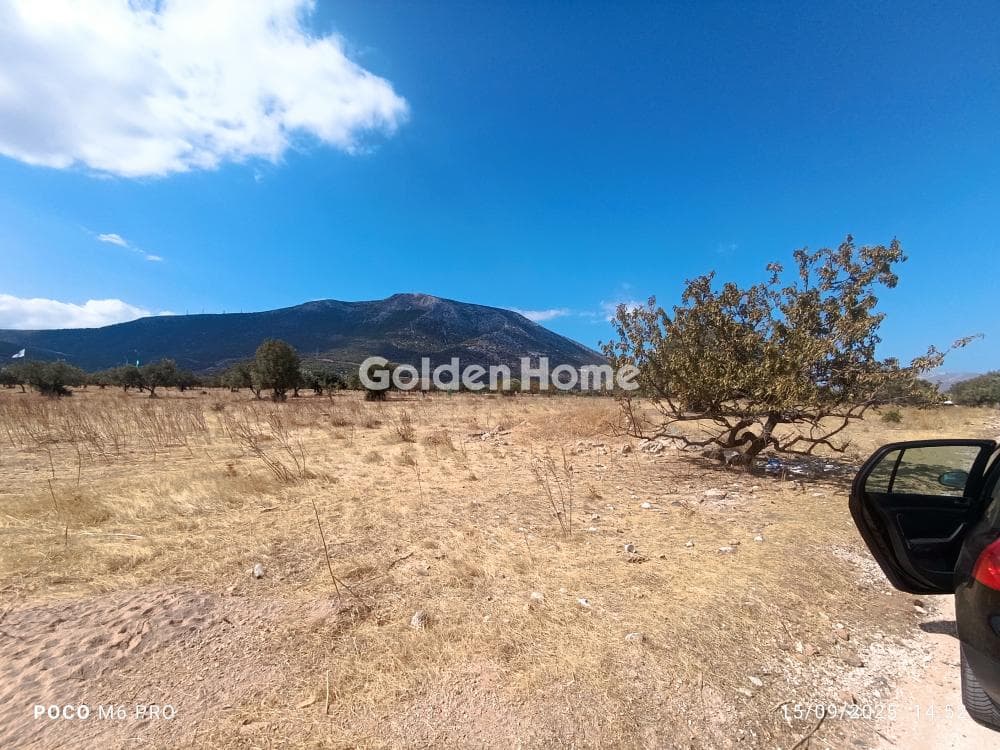 Building Plot in Center, Koropi — Photo 2 of 3