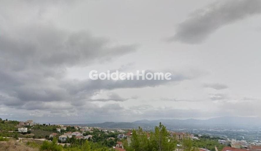 Οικόπεδο στην Δασαμάρι, Πικέρμι — Φωτογραφία 2 από 2