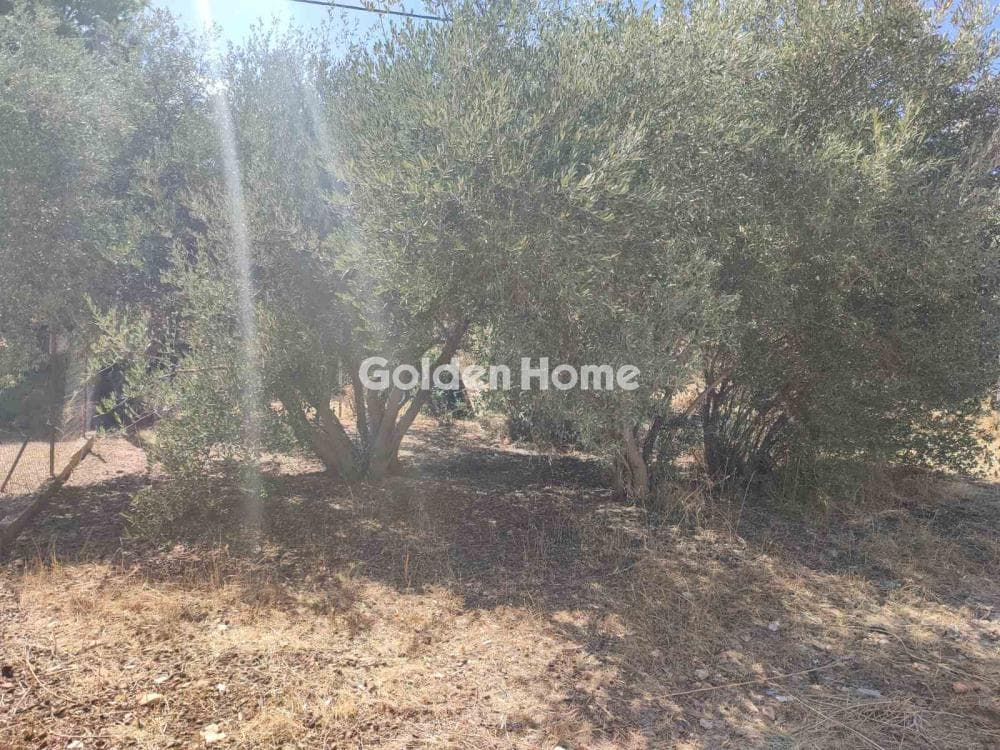 Οικόπεδο στην Αγία Μαρίνα, Παιανία — Φωτογραφία 2 από 7