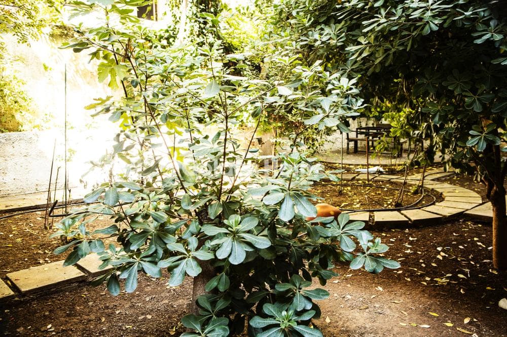 Αποθήκη στην Πλατεία Κολιάτσου, Λεωφ. Πατησίων - Λεωφ. Αχαρνών — Φωτογραφία 12 από 12