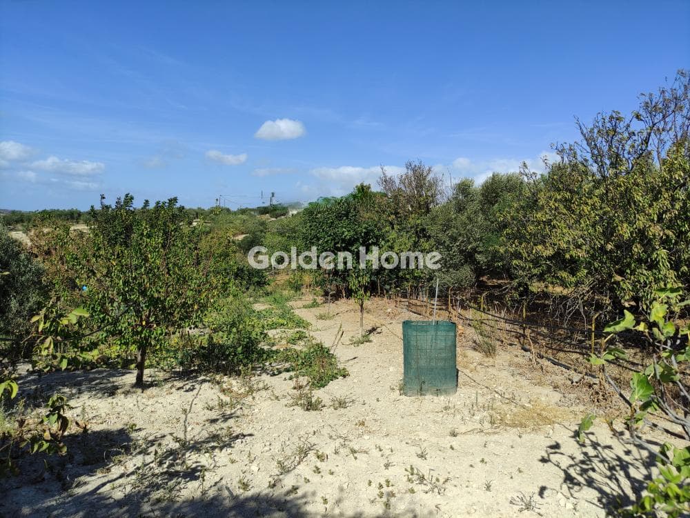 Building Plot in Dafnes, Tetrachori — Photo 1 of 4