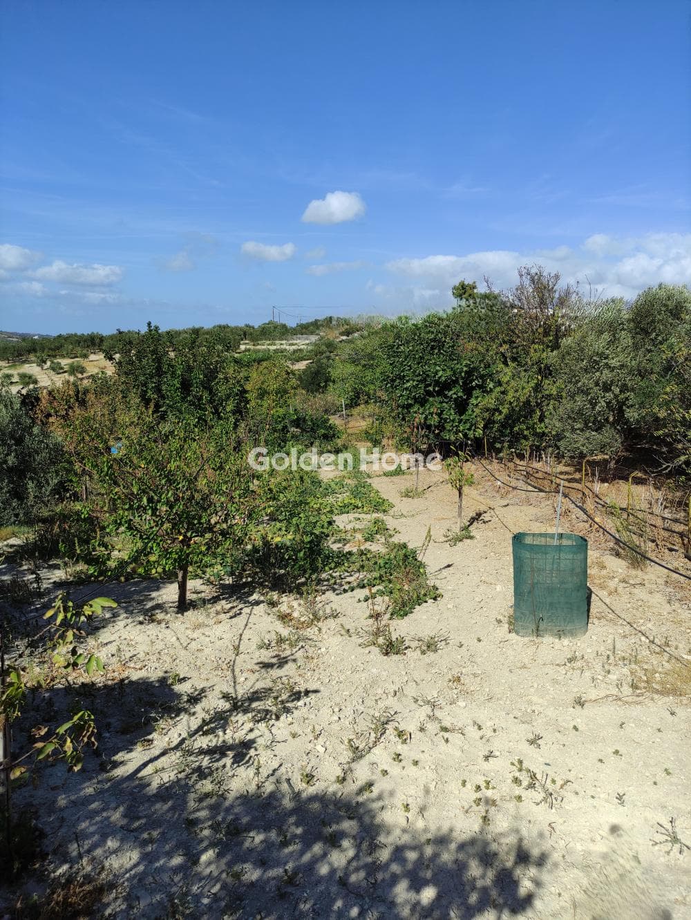 Building Plot in Dafnes, Tetrachori — Photo 2 of 4