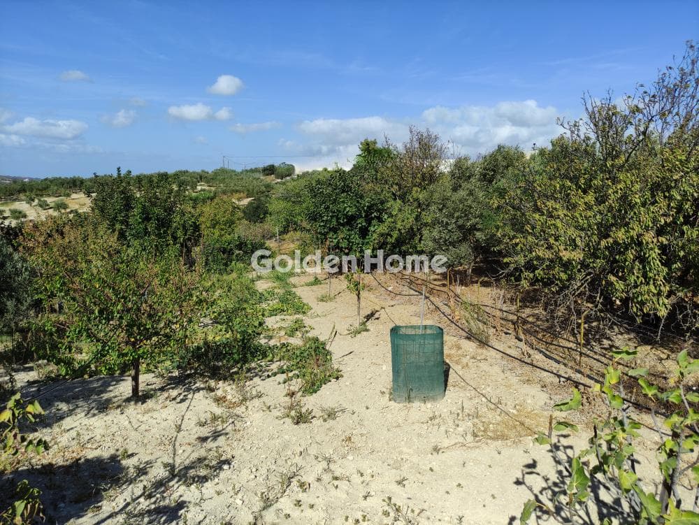 Building Plot in Dafnes, Tetrachori — Photo 3 of 4