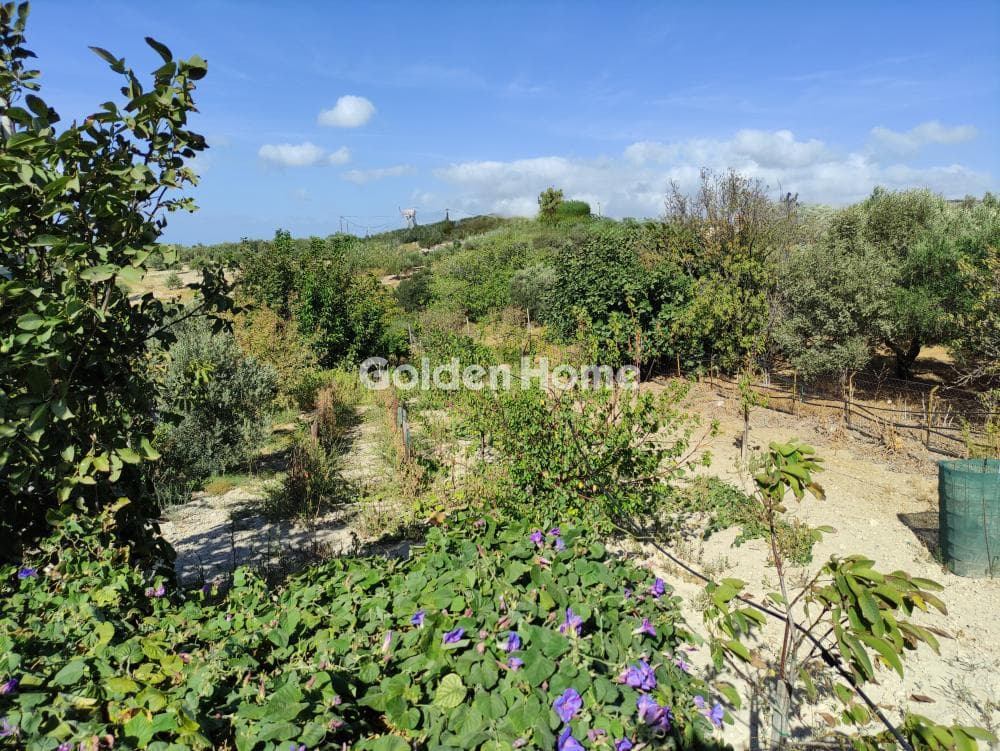 Building Plot in Dafnes, Tetrachori — Photo 4 of 4