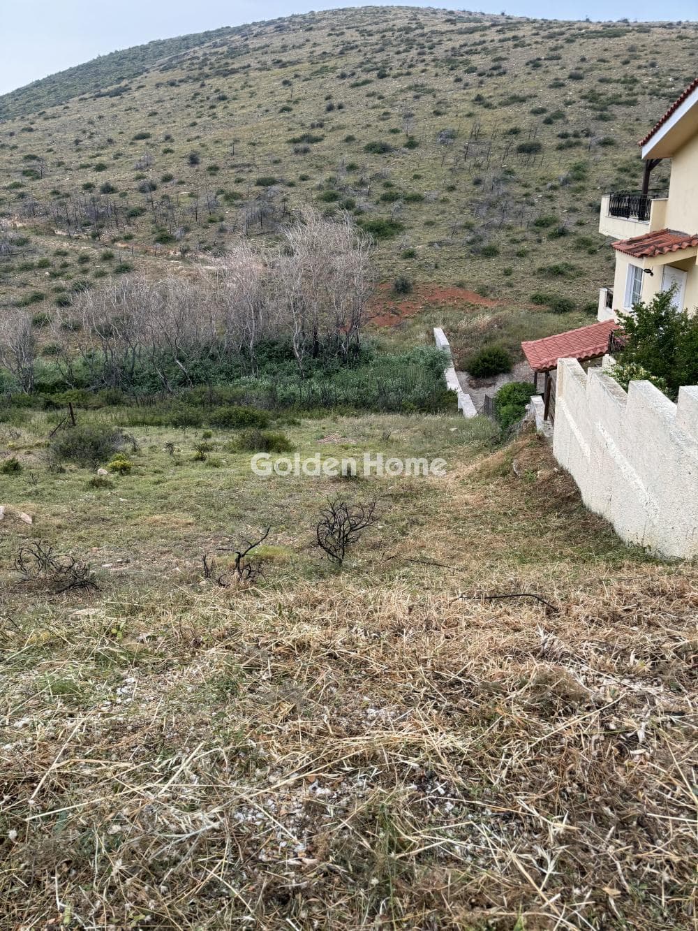 Αγροτεμάχιο στην Ανθούσα, Ανθούσα — Φωτογραφία 2 από 5