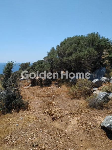 Αγροτεμάχιο στην Σπαθί, Κέα — Φωτογραφία 10 από 15
