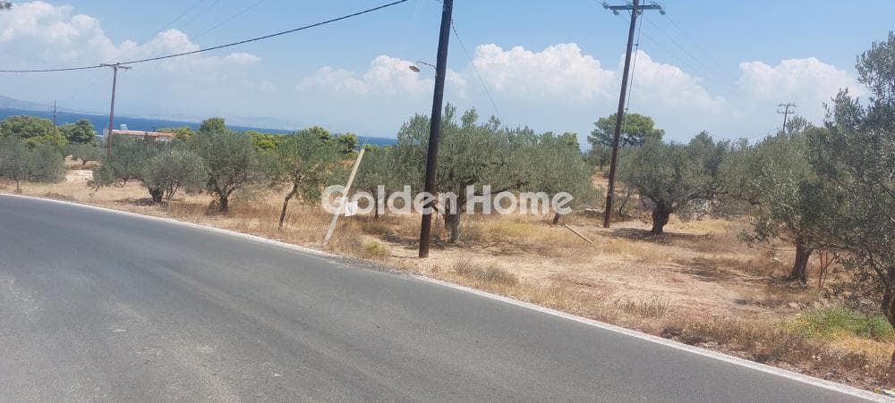 Building Plot in Vagia, Aegina — Photo 1 of 3