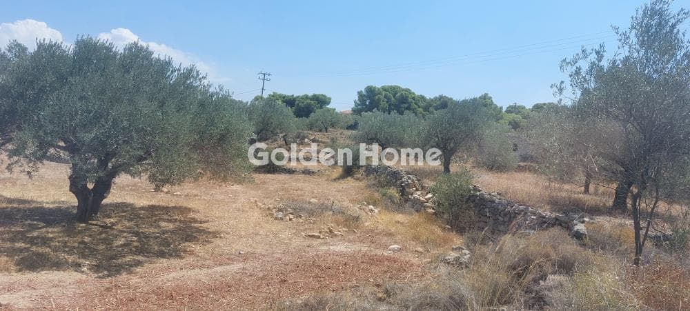 Building Plot in Vagia, Aegina — Photo 3 of 3