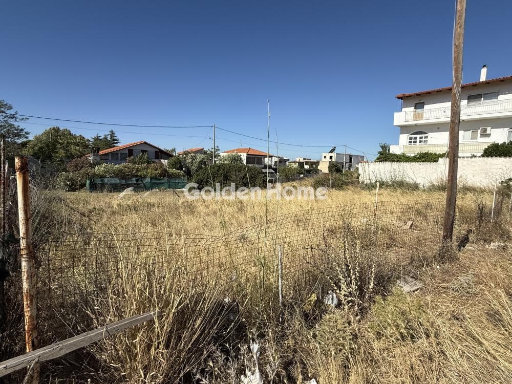 Building Plot in Megala Sxoinia A, Acharnes — Photo 4 of 9