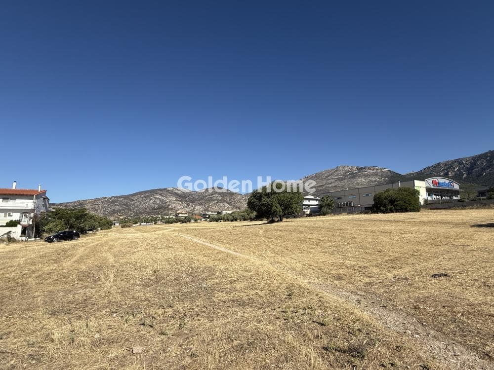 Building Plot in Megala Sxoinia A, Acharnes — Photo 9 of 9