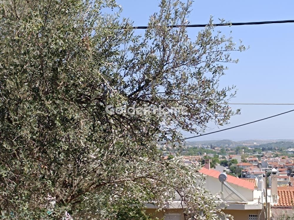 Οικόπεδο στην Φούρεσι, Γλυκά Νερά — Φωτογραφία 5 από 5