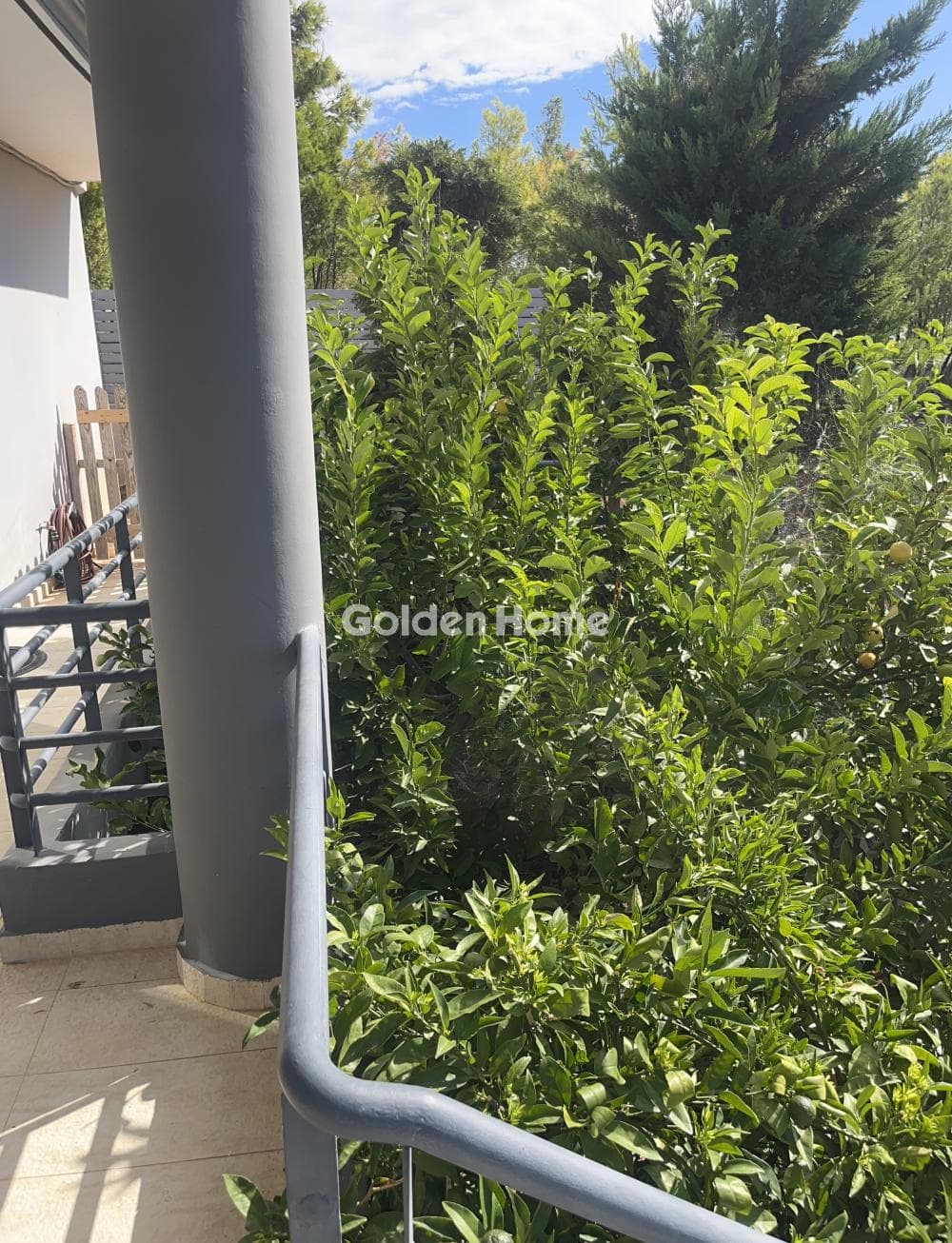 Μονοκατοικία στην Διώνη, Πικέρμι — Φωτογραφία 41 από 48