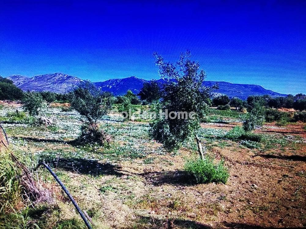 Parcel in Megala Sxoinia A, Acharnes