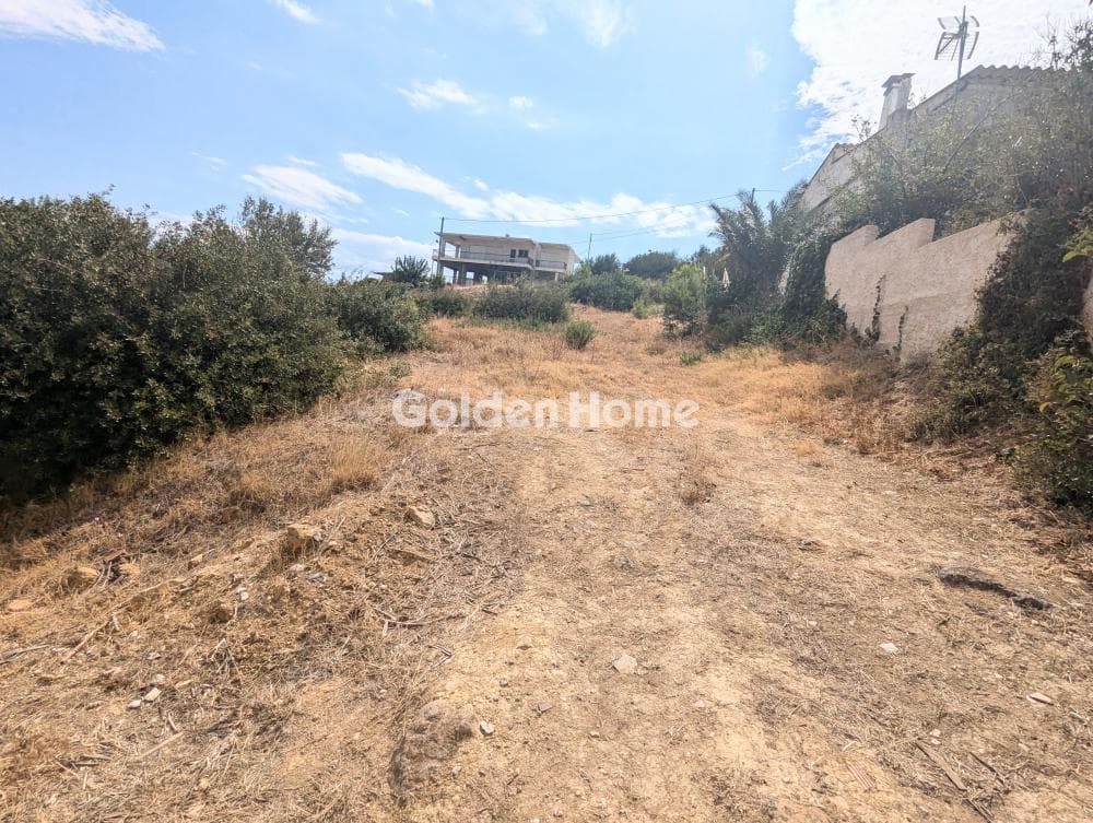 Αγροτεμάχιο στην Νέος Βουτζάς - 1η Είσοδος, Ραφήνα — Φωτογραφία 2 από 4