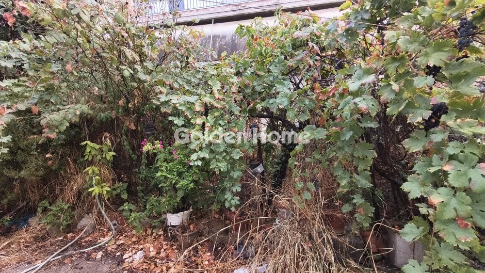 Building Plot in Politeknon, Ilion — Photo 3 of 9