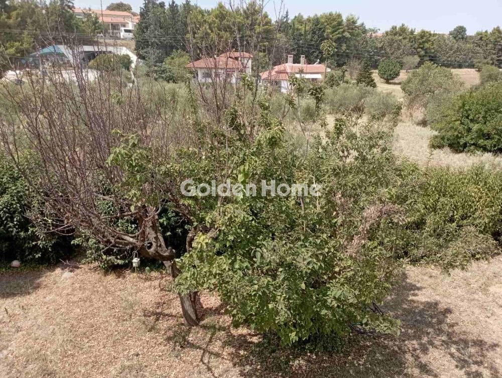 Διαμέρισμα στην Θέρμη - Κέντρο, Θέρμη — Φωτογραφία 2 από 2