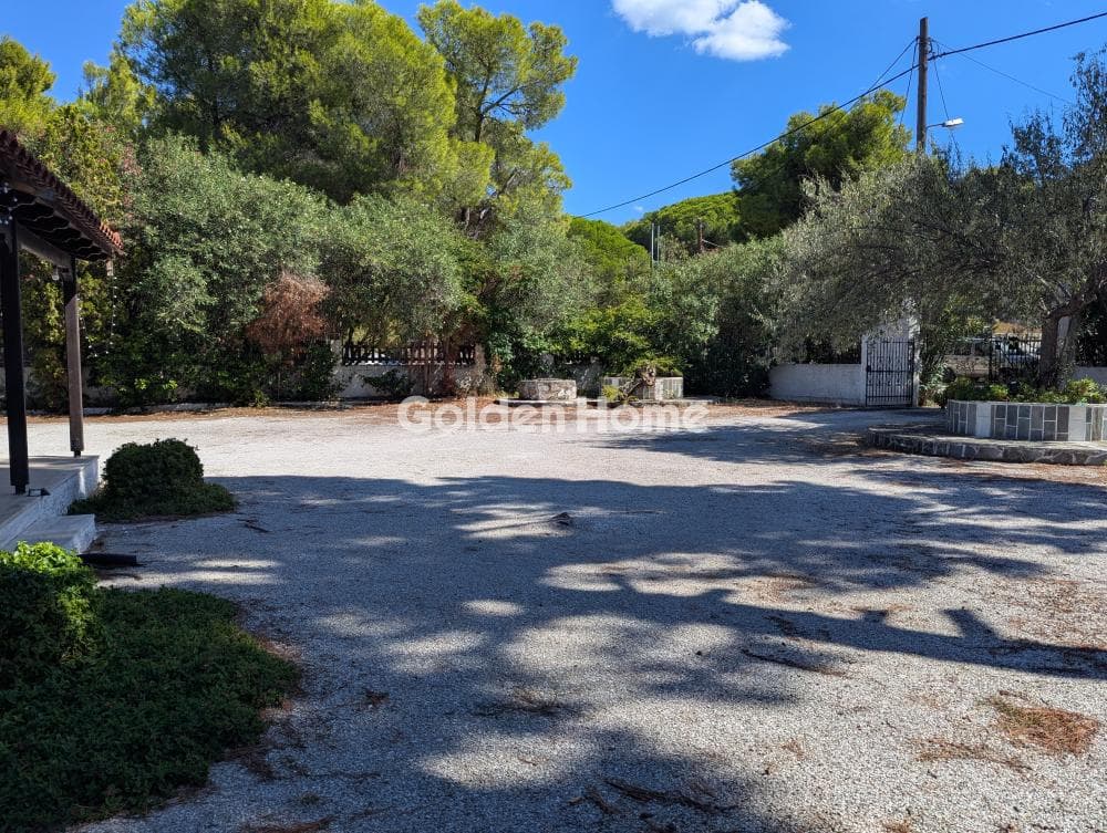 Αγροτεμάχιο στην Άγιος Παντελεήμονας, Νέα Μάκρη — Φωτογραφία 3 από 16