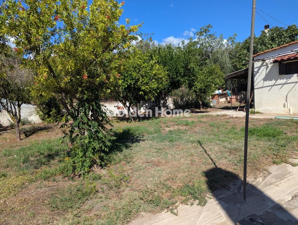 Αγροτεμάχιο στην Άγιος Παντελεήμονας, Νέα Μάκρη — Φωτογραφία 12 από 16