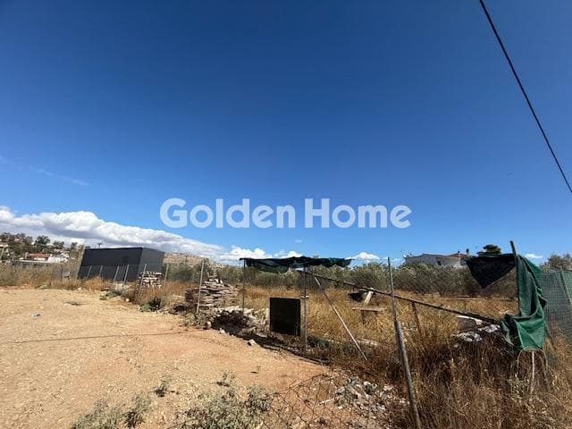 Parcel in Lamprika, Koropi — Photo 2 of 5