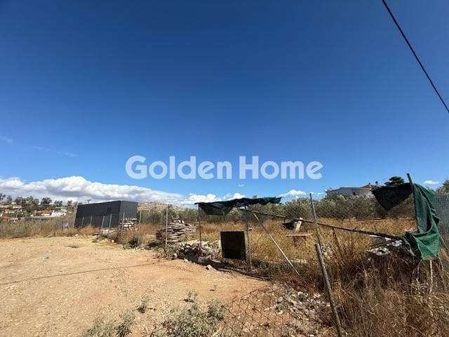 Parcel in Lamprika, Koropi — Photo 3 of 5