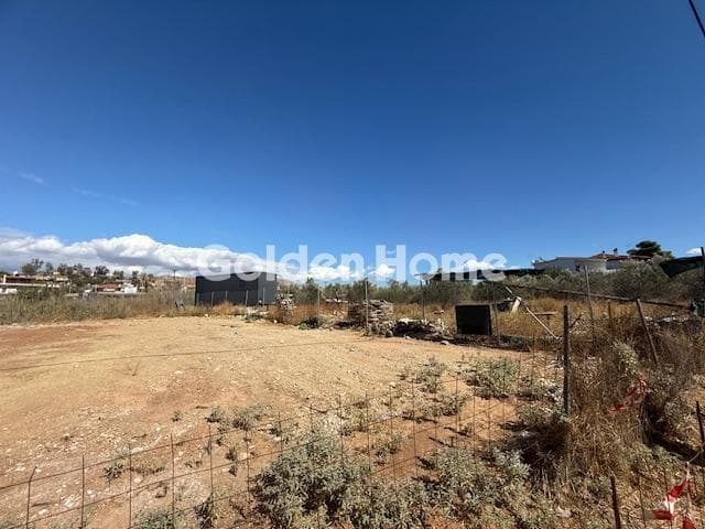 Parcel in Lamprika, Koropi — Photo 1 of 5