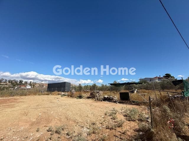 Parcel in Lamprika, Koropi — Photo 5 of 5