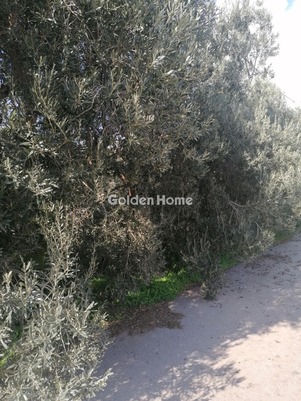 House in Kallithea, Penteli — Photo 9 of 16