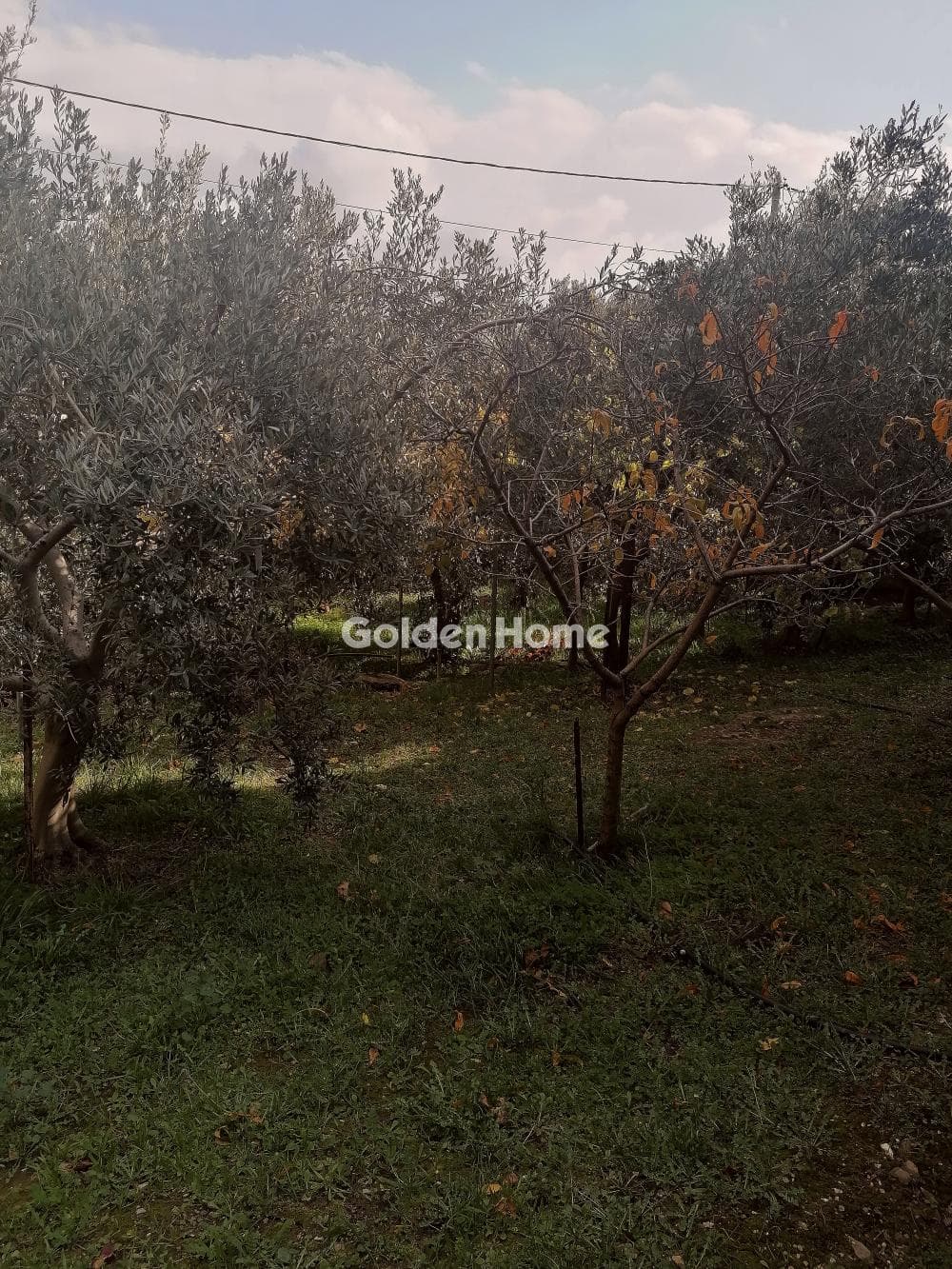 House in Kallithea, Penteli — Photo 13 of 16