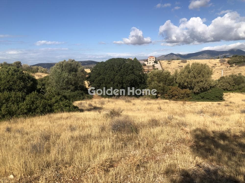 Building Plot in Agia Marina, Koropi — Photo 1 of 6