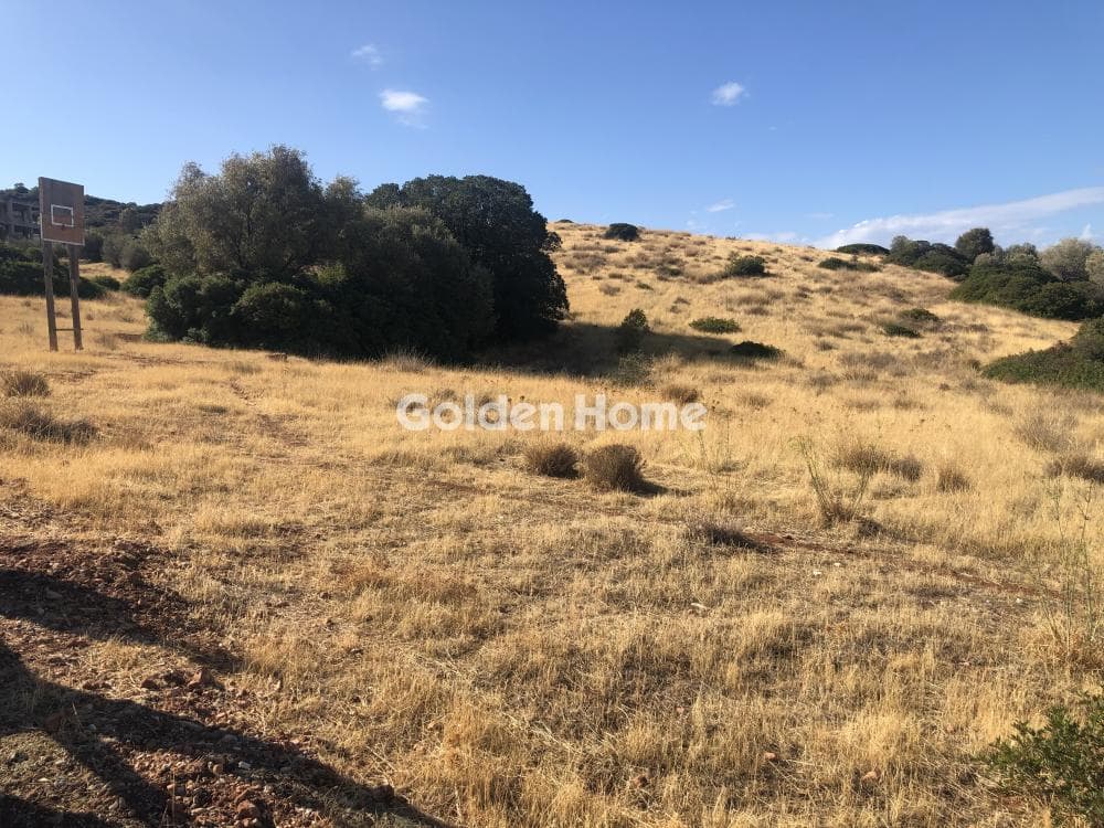 Building Plot in Agia Marina, Koropi — Photo 3 of 6
