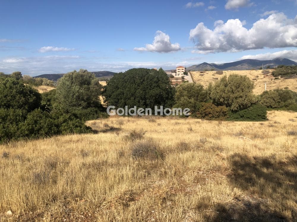 Building Plot in Agia Marina, Koropi — Photo 2 of 6