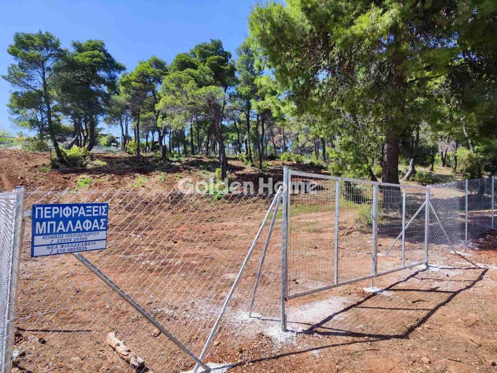 Οικόπεδο στην Αγία Τριάδα, Αφίδνες — Φωτογραφία 1 από 10