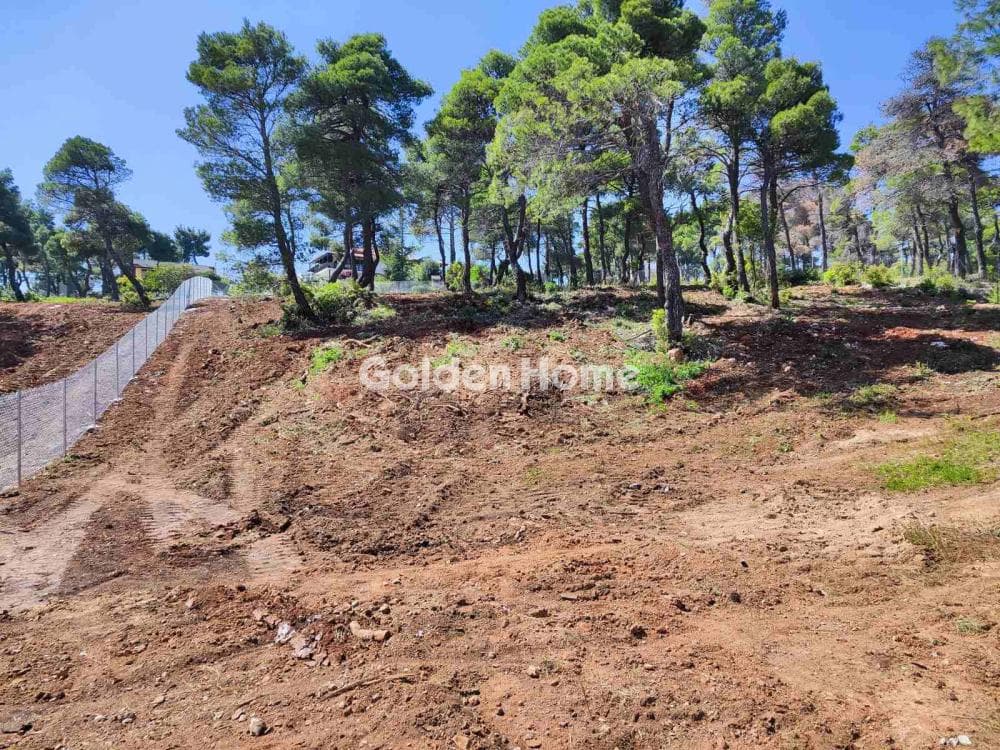 Οικόπεδο στην Αγία Τριάδα, Αφίδνες — Φωτογραφία 3 από 10