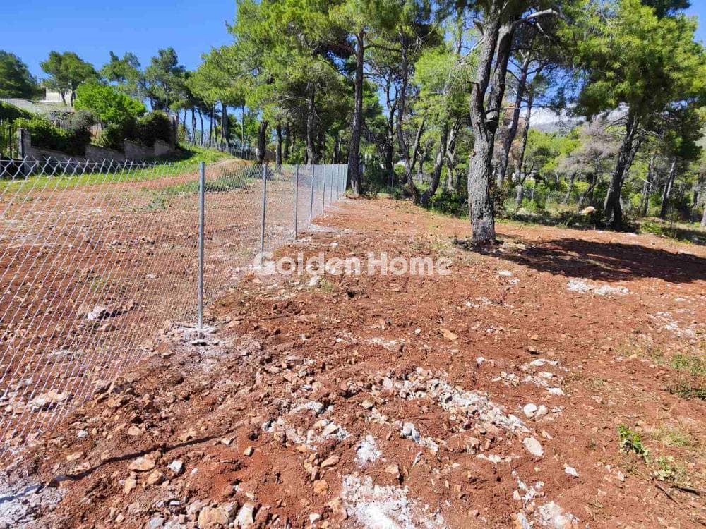 Οικόπεδο στην Αγία Τριάδα, Αφίδνες — Φωτογραφία 7 από 10