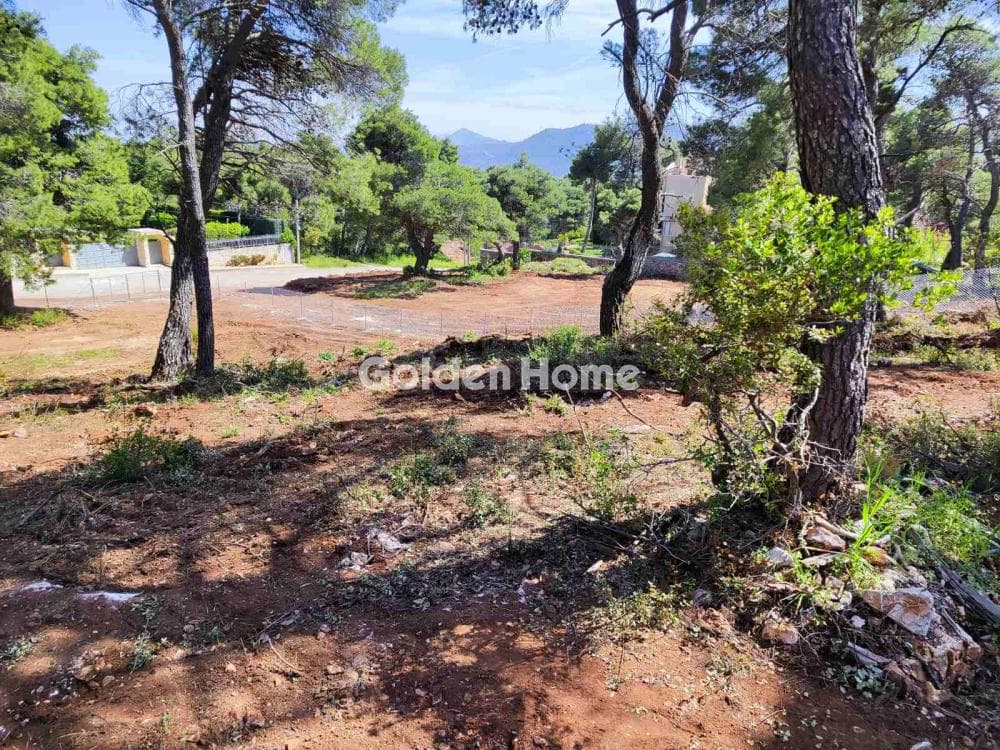 Οικόπεδο στην Αγία Τριάδα, Αφίδνες — Φωτογραφία 8 από 10