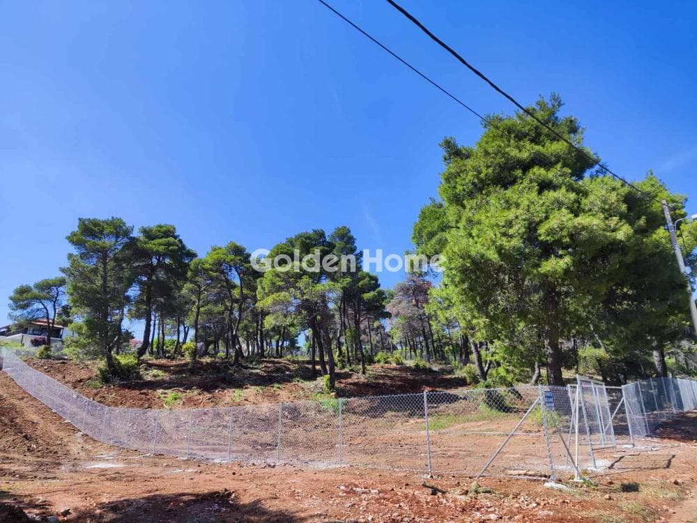 Οικόπεδο στην Αγία Τριάδα, Αφίδνες — Φωτογραφία 9 από 10