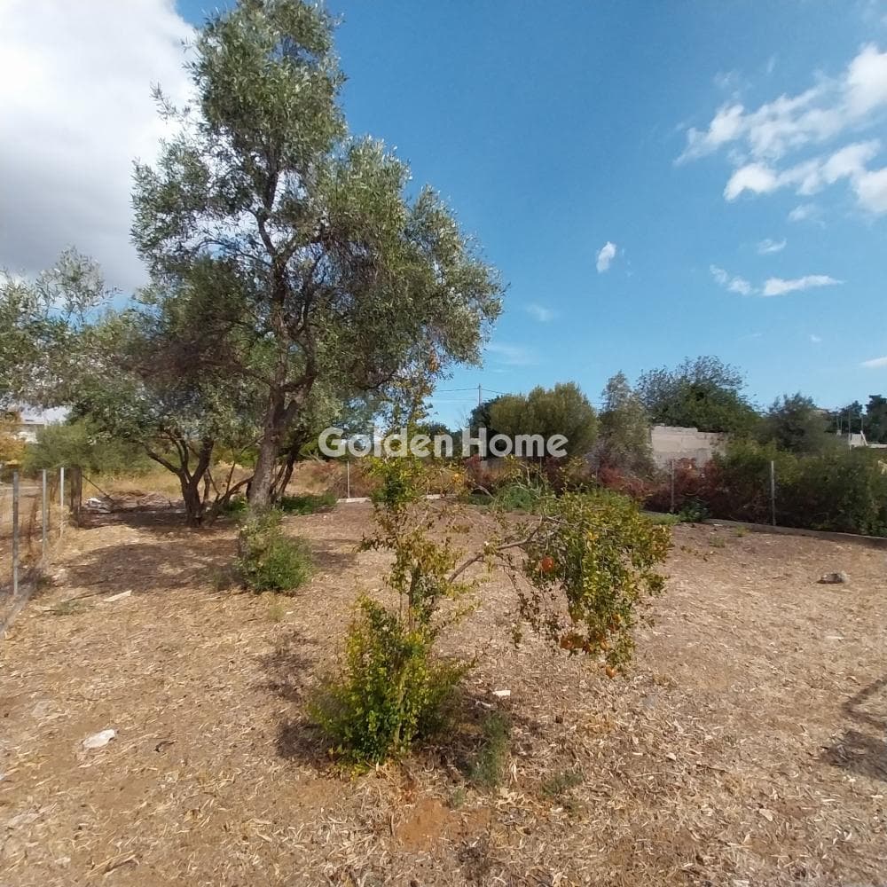 Building Plot in Ano Mpalana, Pallini — Photo 1 of 3