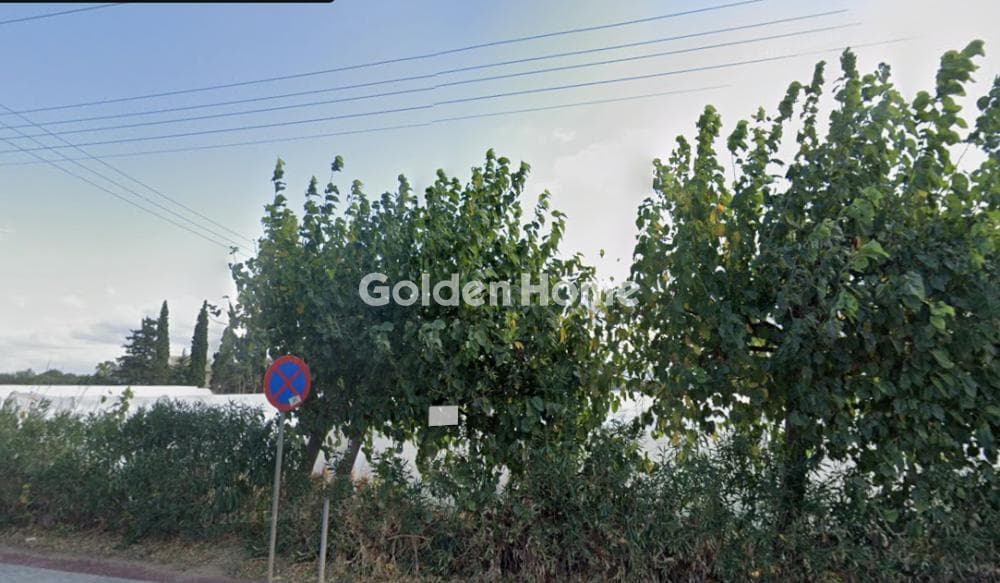 Οικόπεδο στην Άγιος Παντελεήμονας, Νέα Μάκρη