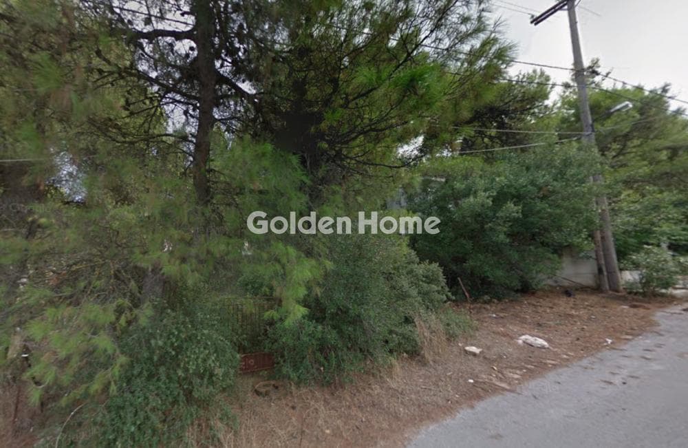 Building Plot in Rodopoli, Rodopoli — Photo 3 of 4