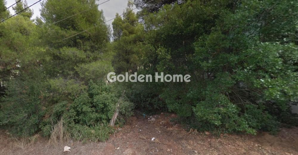 Building Plot in Rodopoli, Rodopoli — Photo 4 of 4