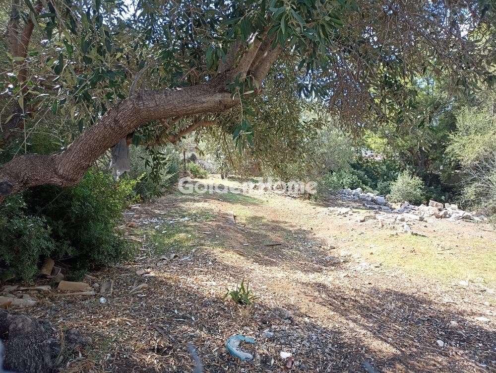 Building Plot in Agios Athanasios, Salamina — Photo 1 of 2