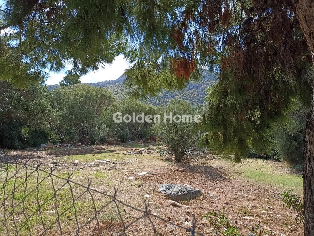 Building Plot in Agios Athanasios, Salamina — Photo 2 of 2