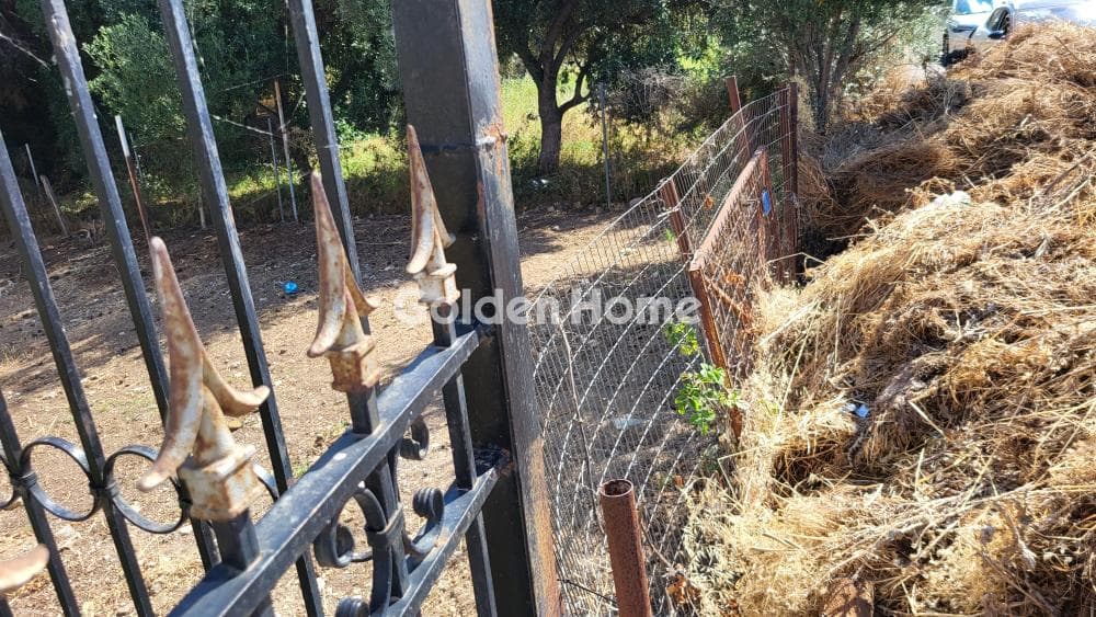Building Plot in A.S.PAI.T.E., Marousi — Photo 4 of 4