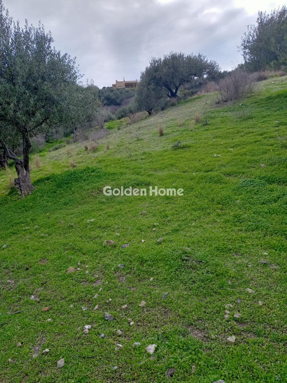 Building Plot in Kouses, Moires — Photo 4 of 7