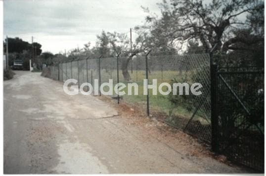 Building Plot in Flampouria, Kythnos — Photo 3 of 3