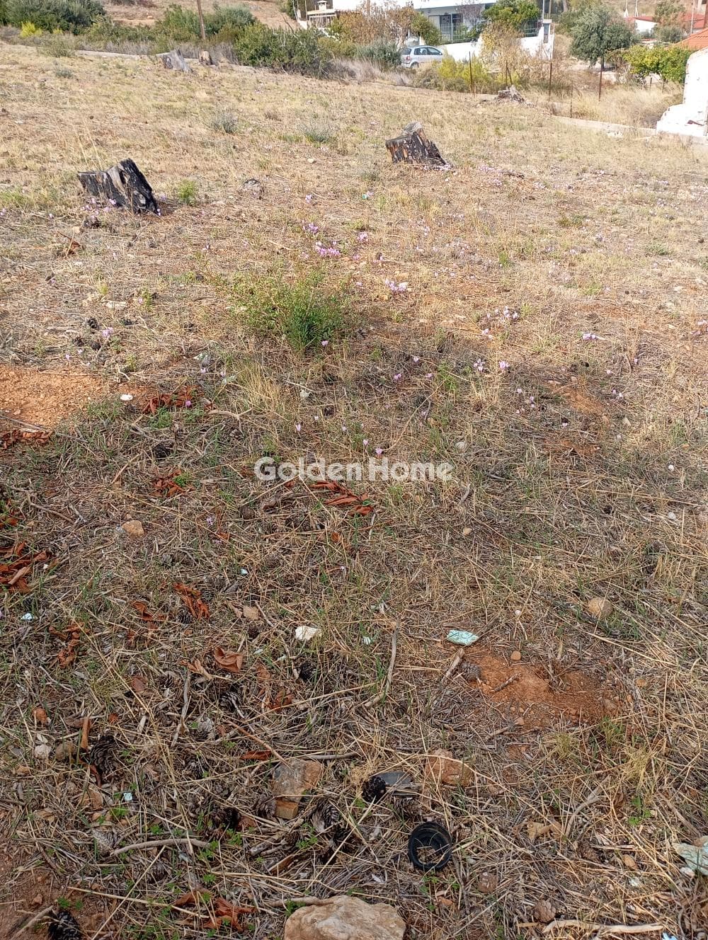 Building Plot in Oikismos Kokkino Limanaki, Rafina — Photo 2 of 4